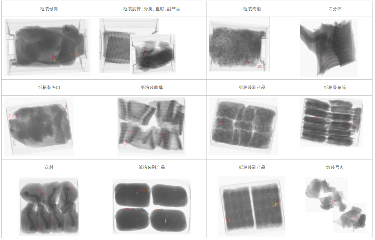 Slaughtering-line X-ray Inspection System
