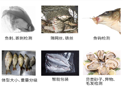 Fish-bone X-ray Inspection System